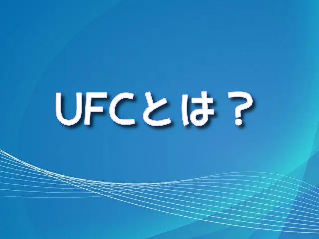 UFCとは何か　ルール　PFP