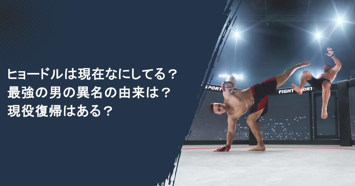 ヒョードルは現在なにしてる?最強の男の異名の由来は?現役復帰はある?
